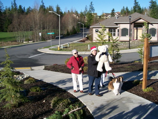 XmasDrive2009/100_0363.jpg